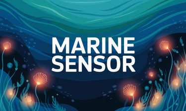 MarineSensor.com - Creative brandable domain for sale